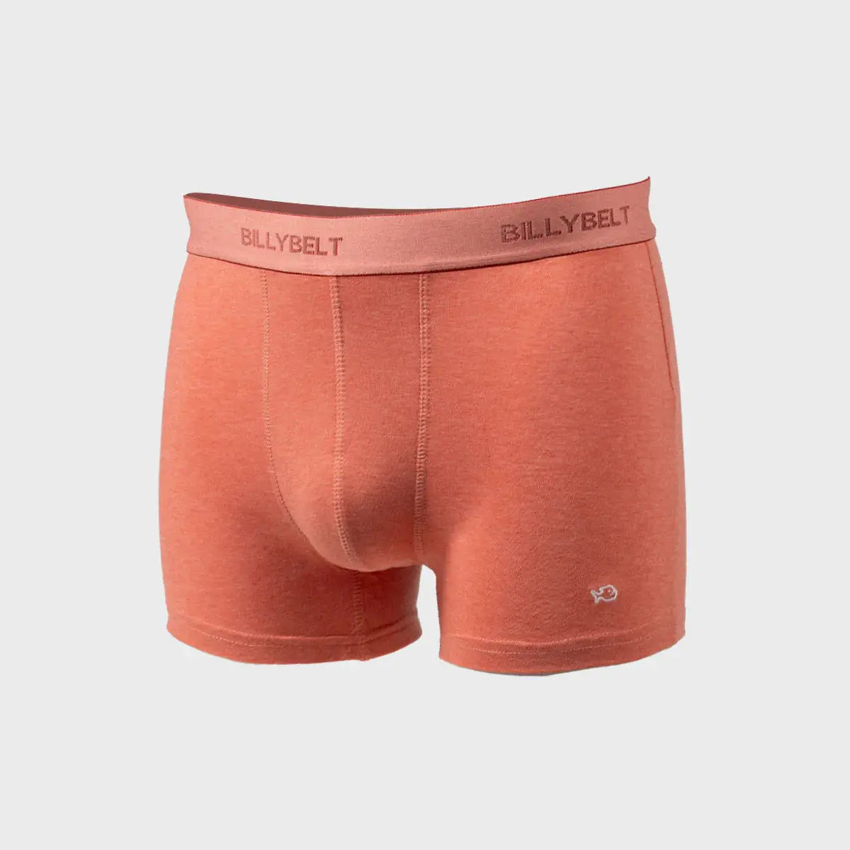 Boxer Corail - Billybelt