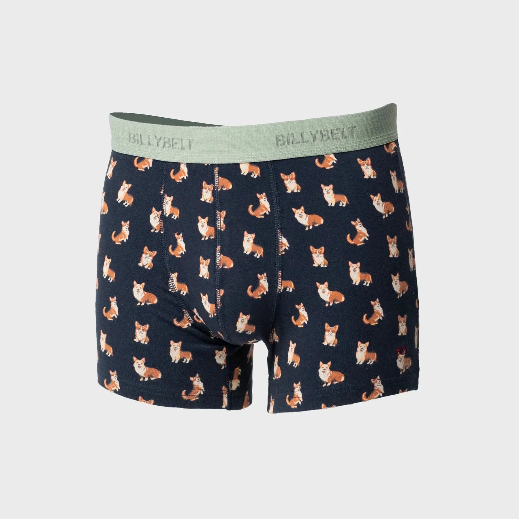 Boxer Corgi - Billybelt