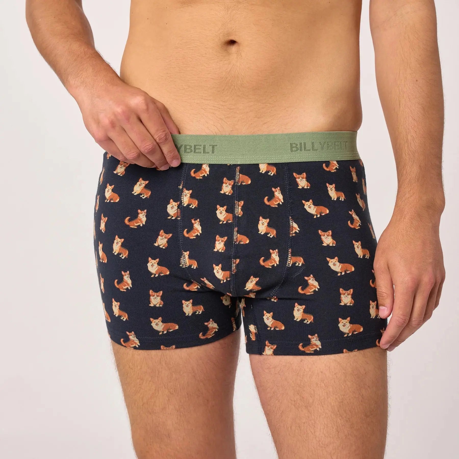 Boxer Corgi - Billybelt - détail 6