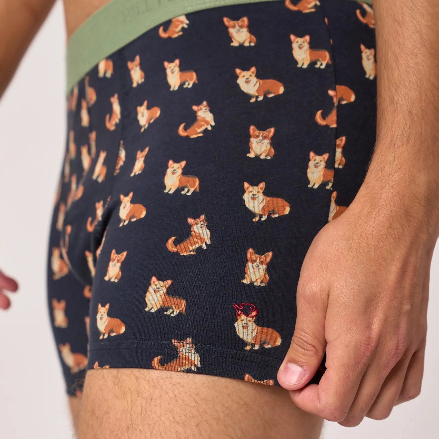 Boxer Corgi - Billybelt - détail 4