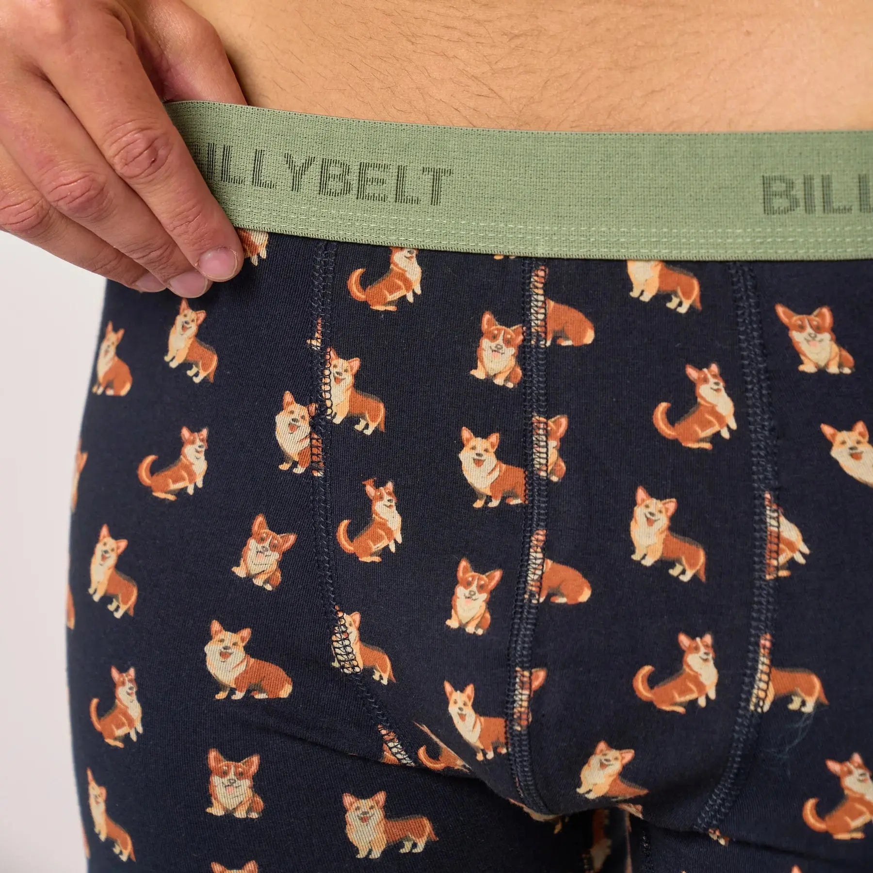 Boxer Corgi - Billybelt - détail 7