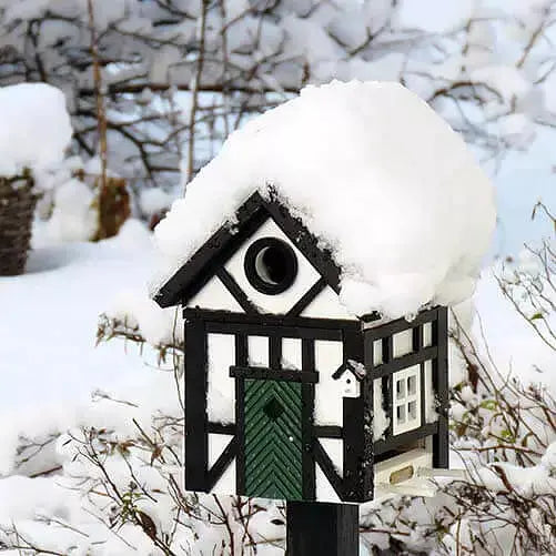Cabane Oiseau - Colombages - Wildlife Garden - détail 4