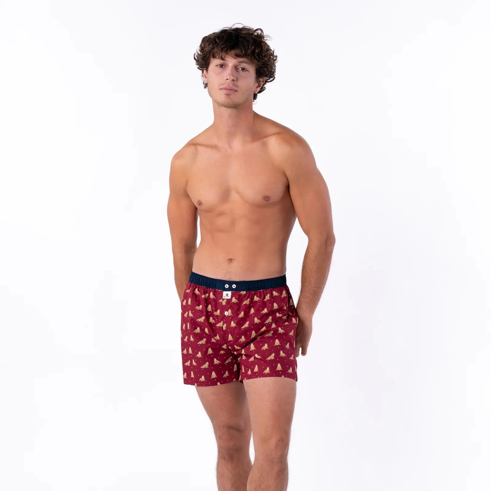 Caleçon Walrus - Billybelt - détail 5