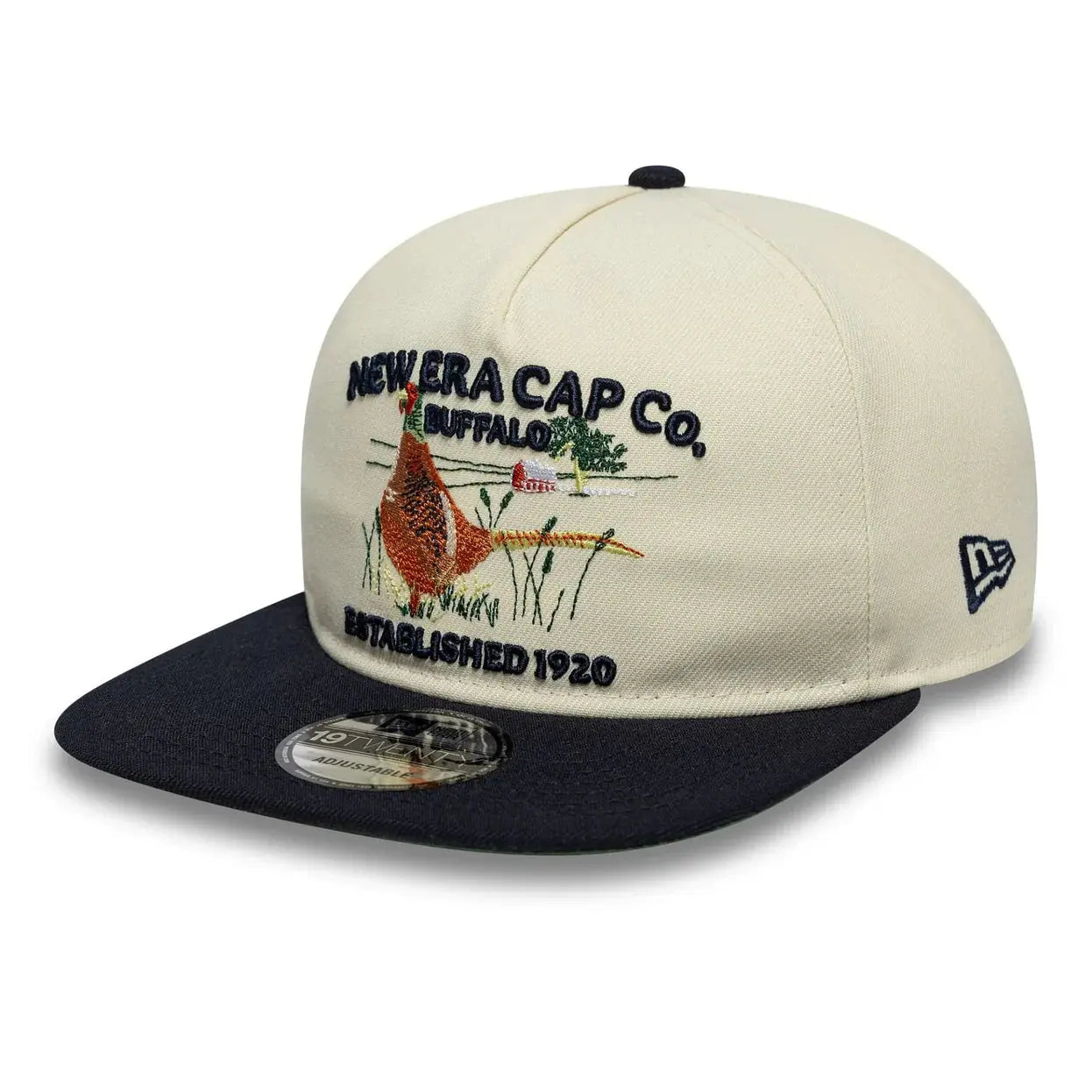 Casquette 19twenty Outdoor Graphic Beige - New Era