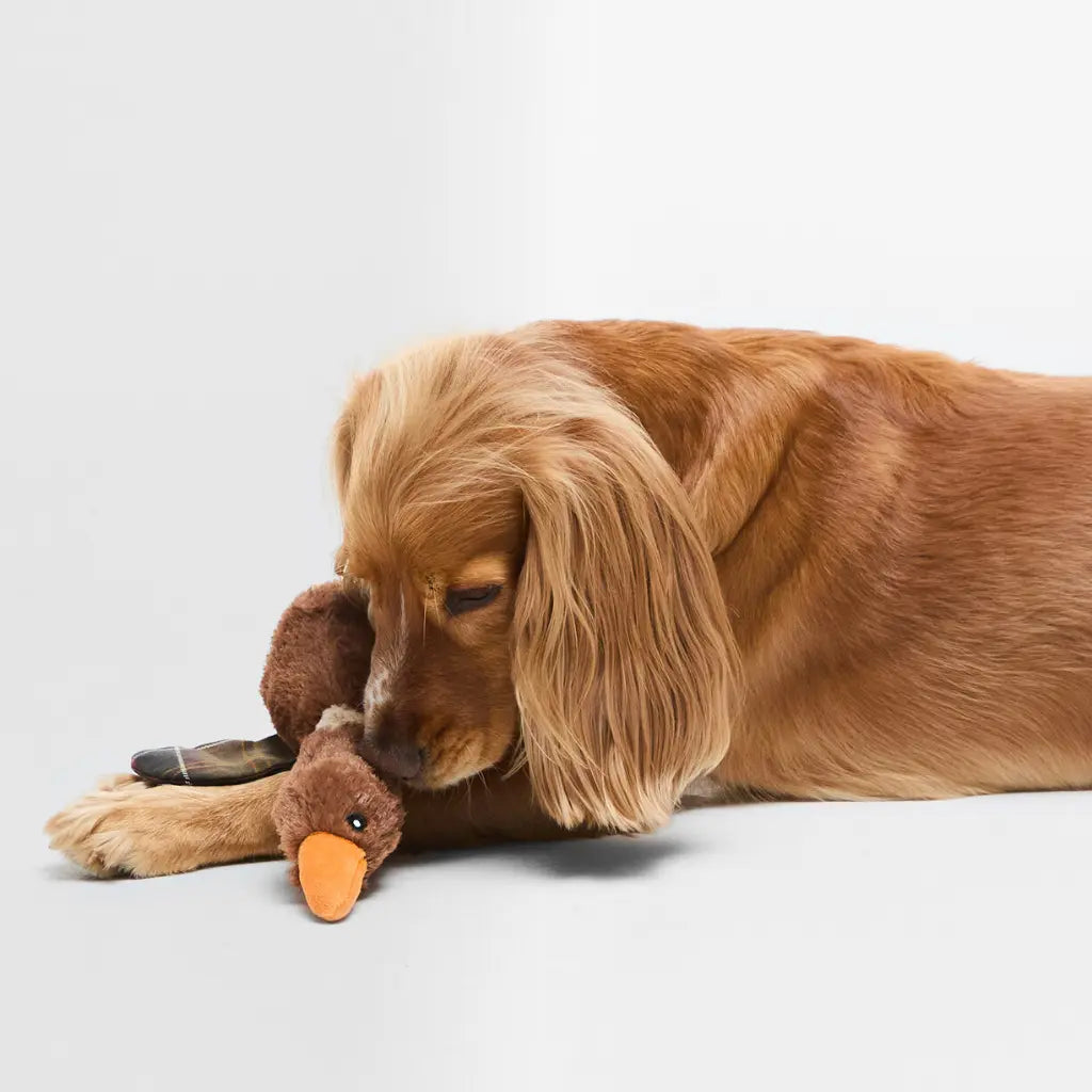Jouet Canard - Barbour Dogs - détail 2