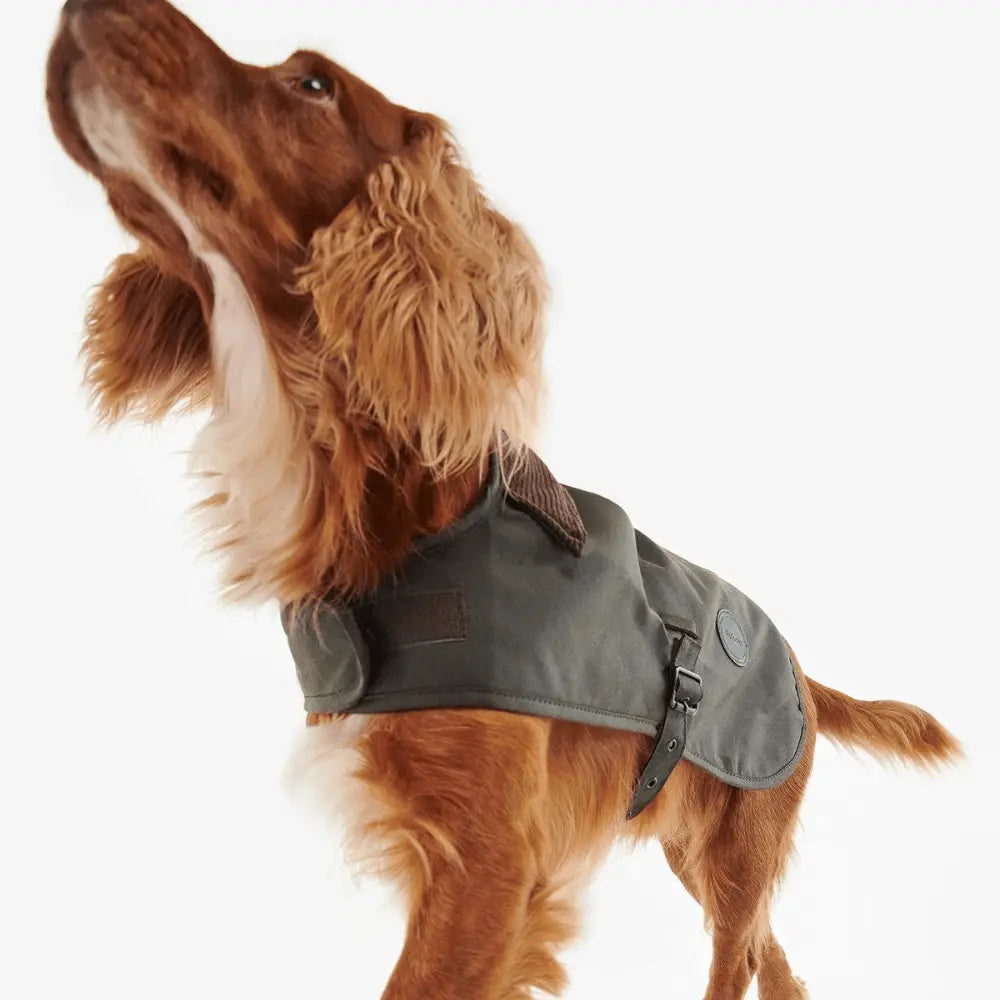 Manteau Ciré pour Chien - Barbour Dogs - détail 6