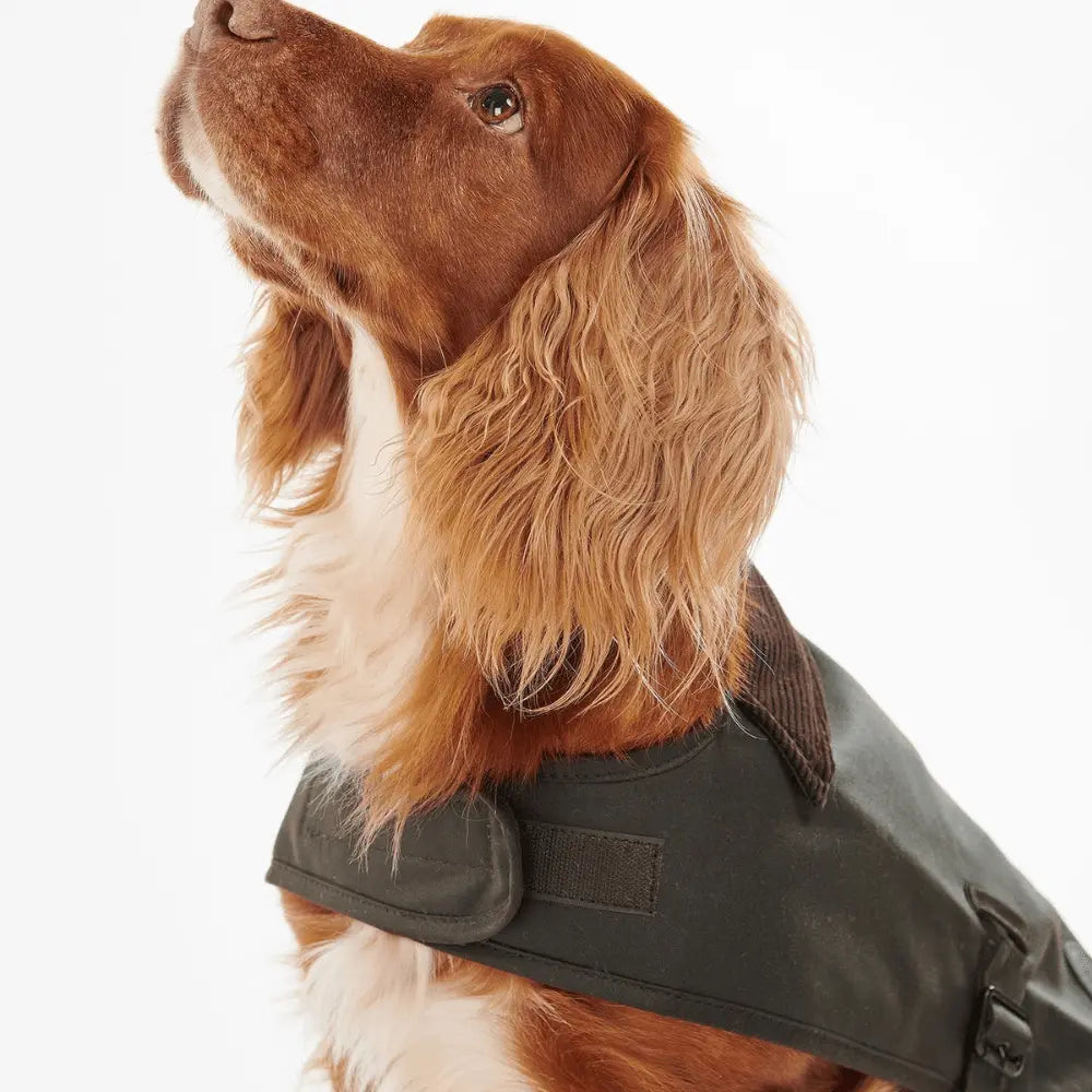 Manteau Ciré pour Chien - Barbour Dogs - détail 7
