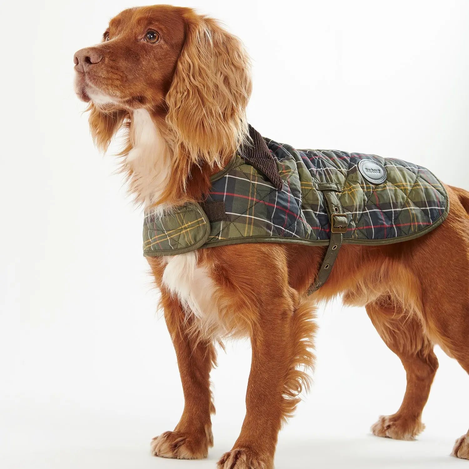 Manteau Matelassé Tartan pour Chien - Barbour Dogs - détail 2