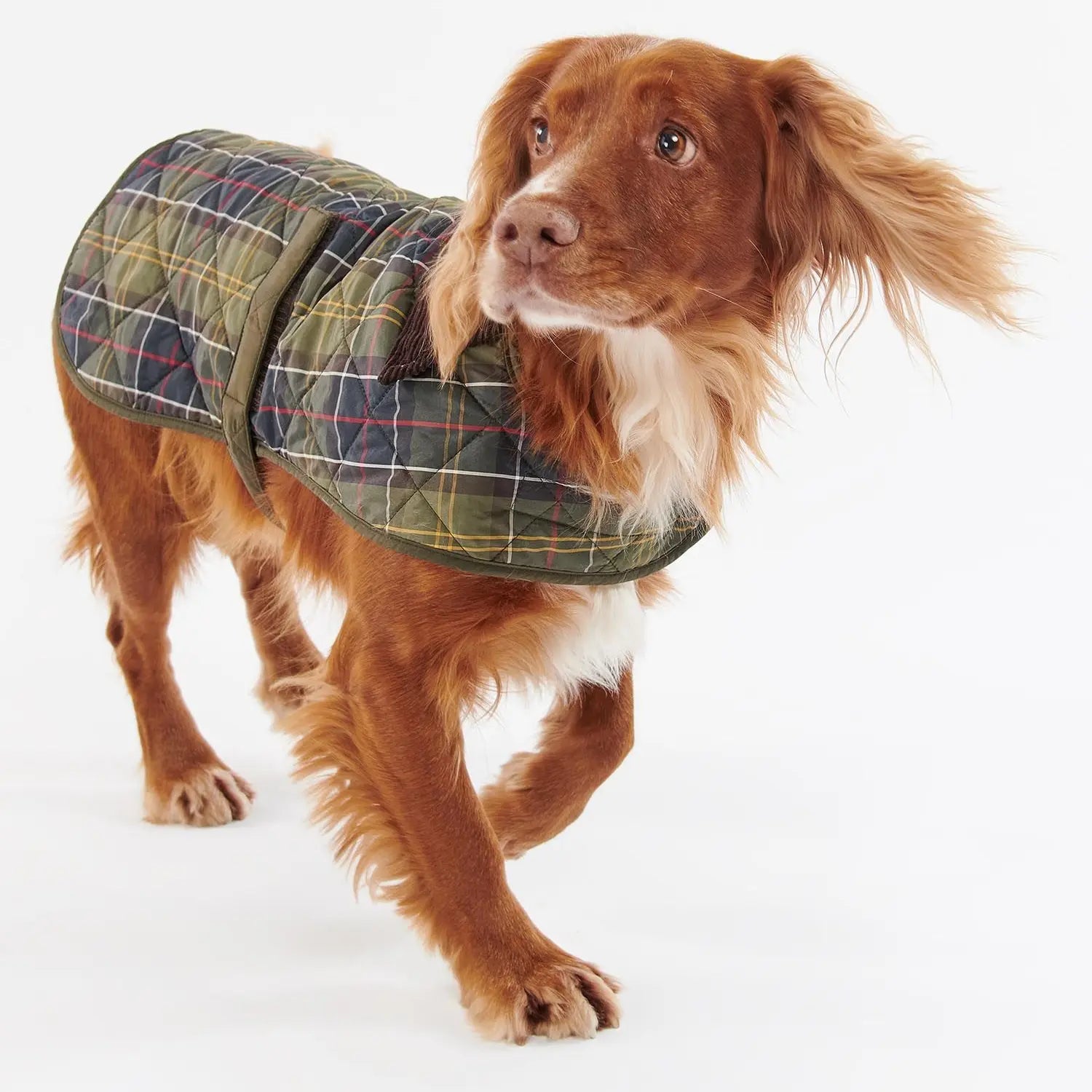 Manteau Matelassé Tartan pour Chien - Barbour Dogs - détail 3