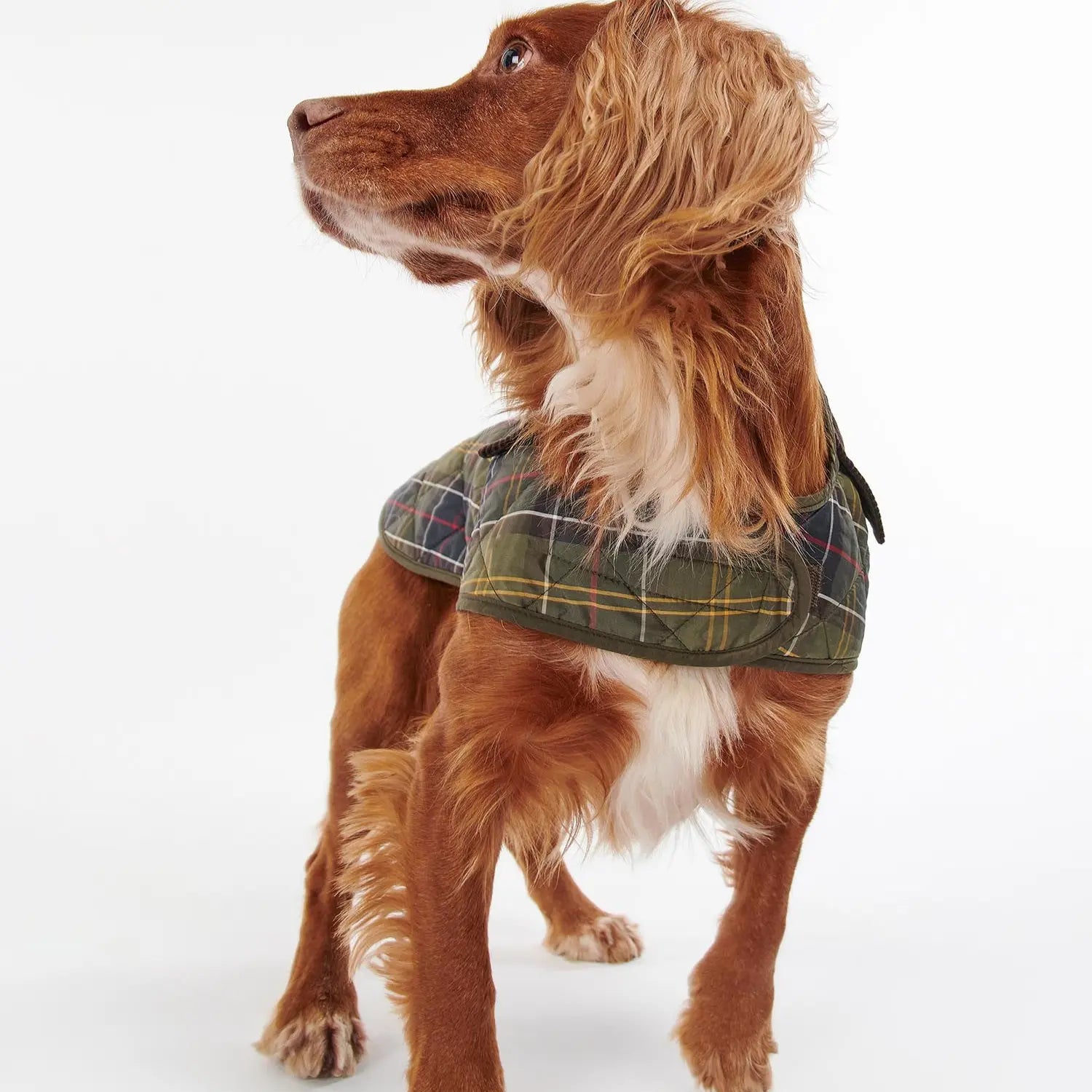 Manteau Matelassé Tartan pour Chien - Barbour Dogs - détail 5