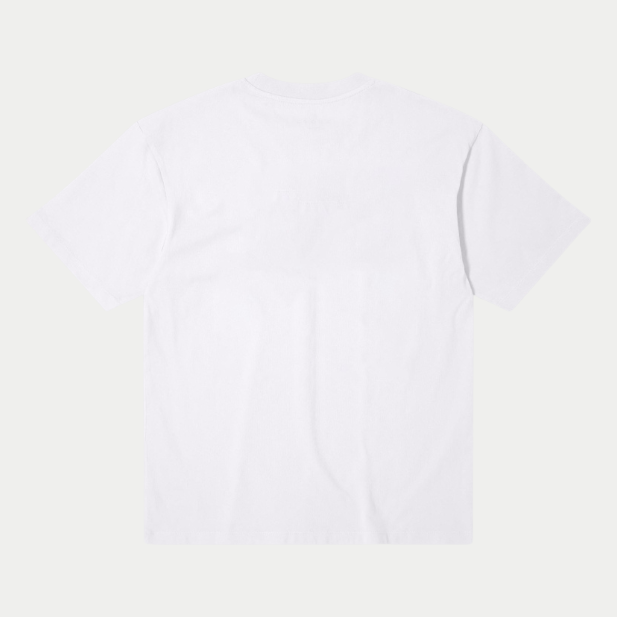 T-shirt Sun blanc Edwin - vue de dos à plat, jersey de coton uni sans imprimé, col côtelé