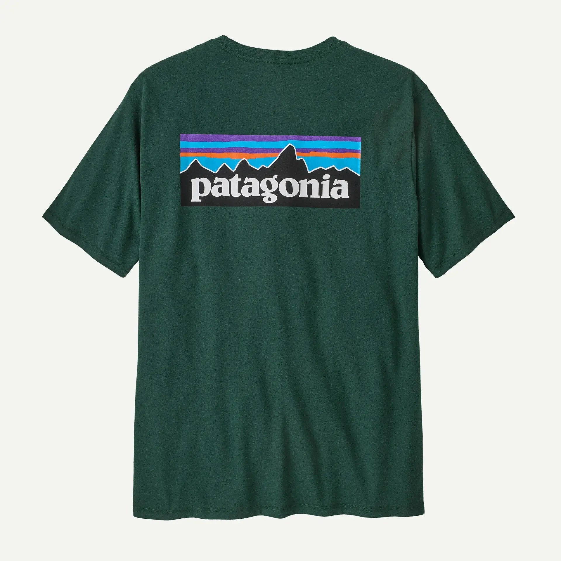 T-shirt Responsabili-tee - Cascade Green - Patagonia