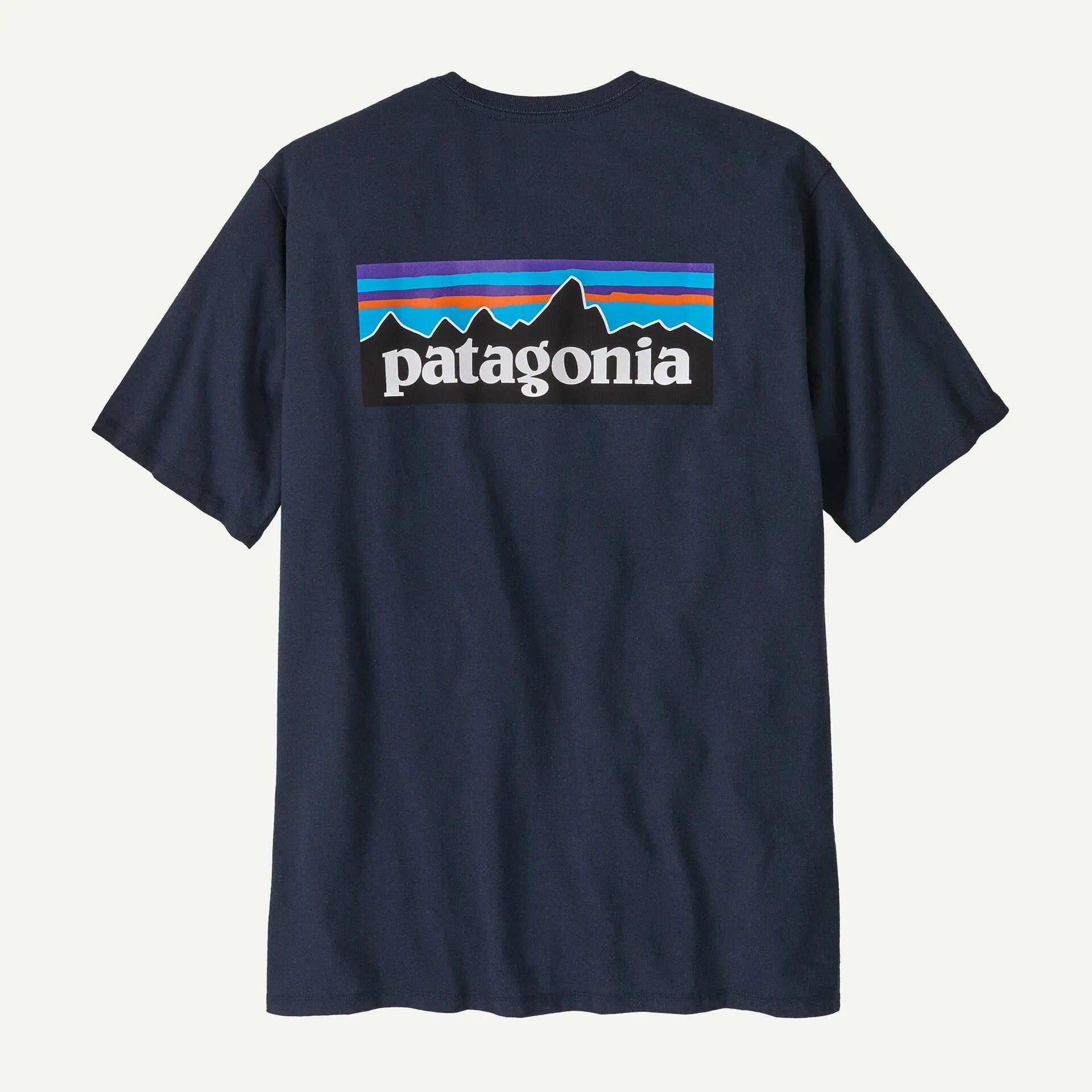 T-shirt Responsibili-tee - Bleu - Patagonia