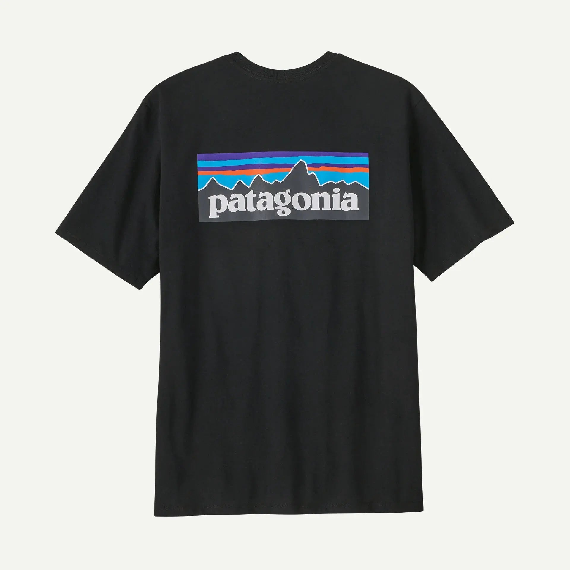 T-shirt Responsibili-tee - Noir - Patagonia