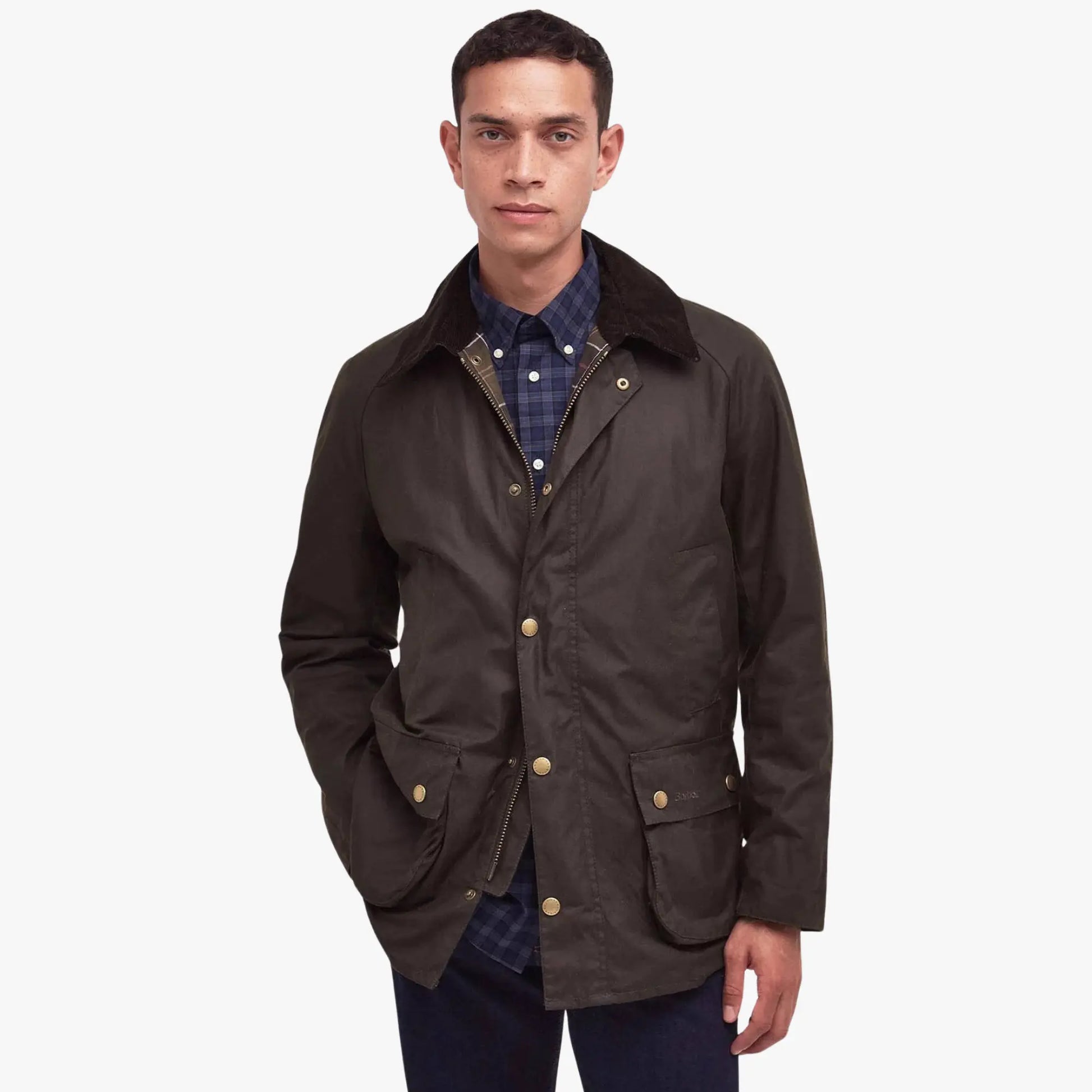 Veste Ashby - Olive - Barbour - détail 2