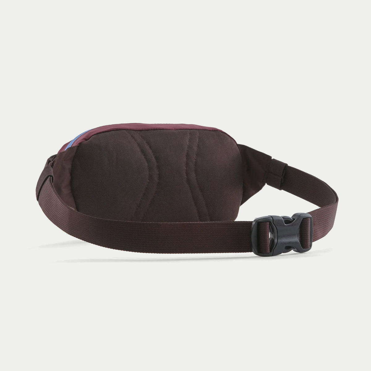 Dos de la banane Terravia Mini Hip Berry Fig, panneau en filet aubergine et boucle clip noire sur la sangle