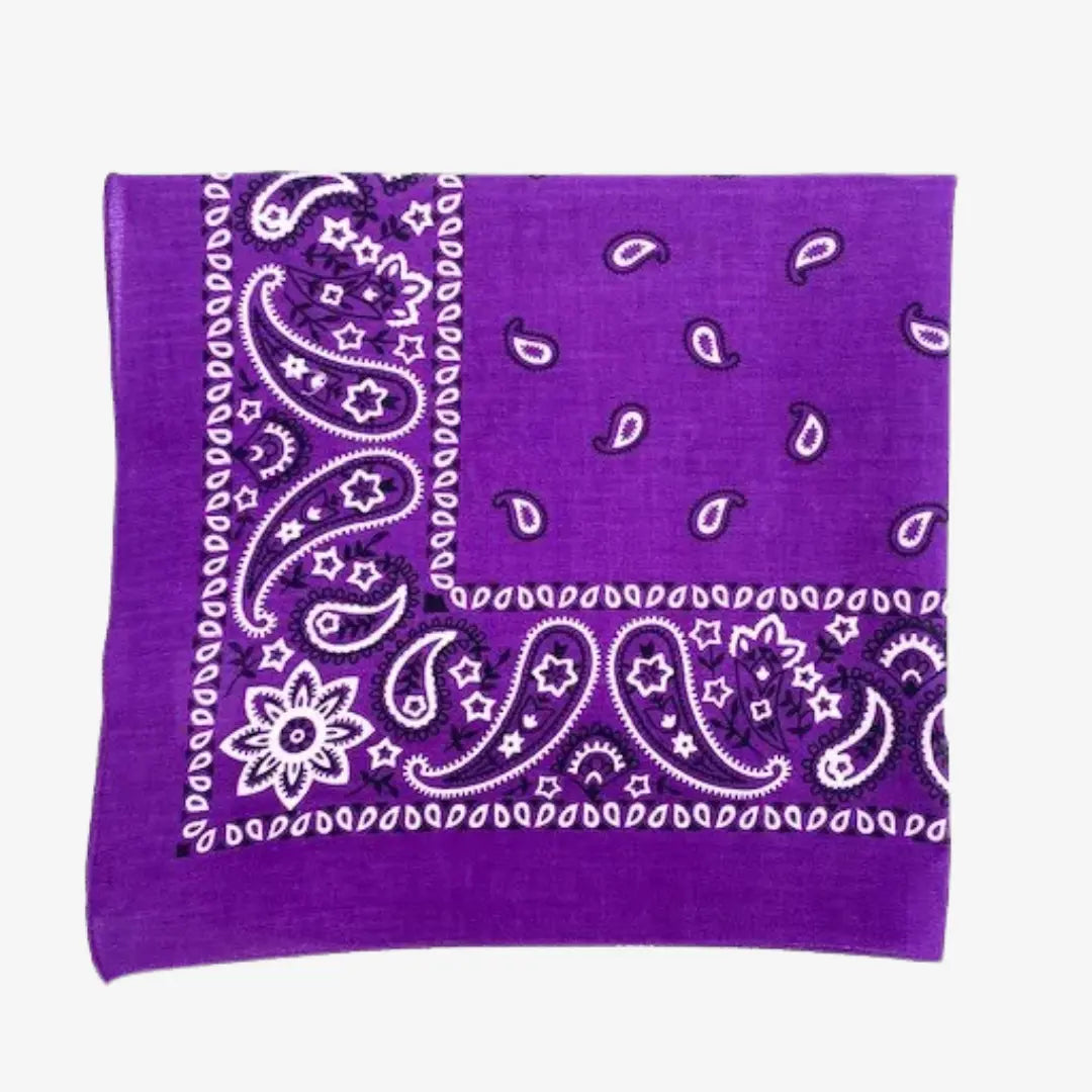 Bandana violet vif plié, cachemire blanc et violet foncé sur la bordure imprimée