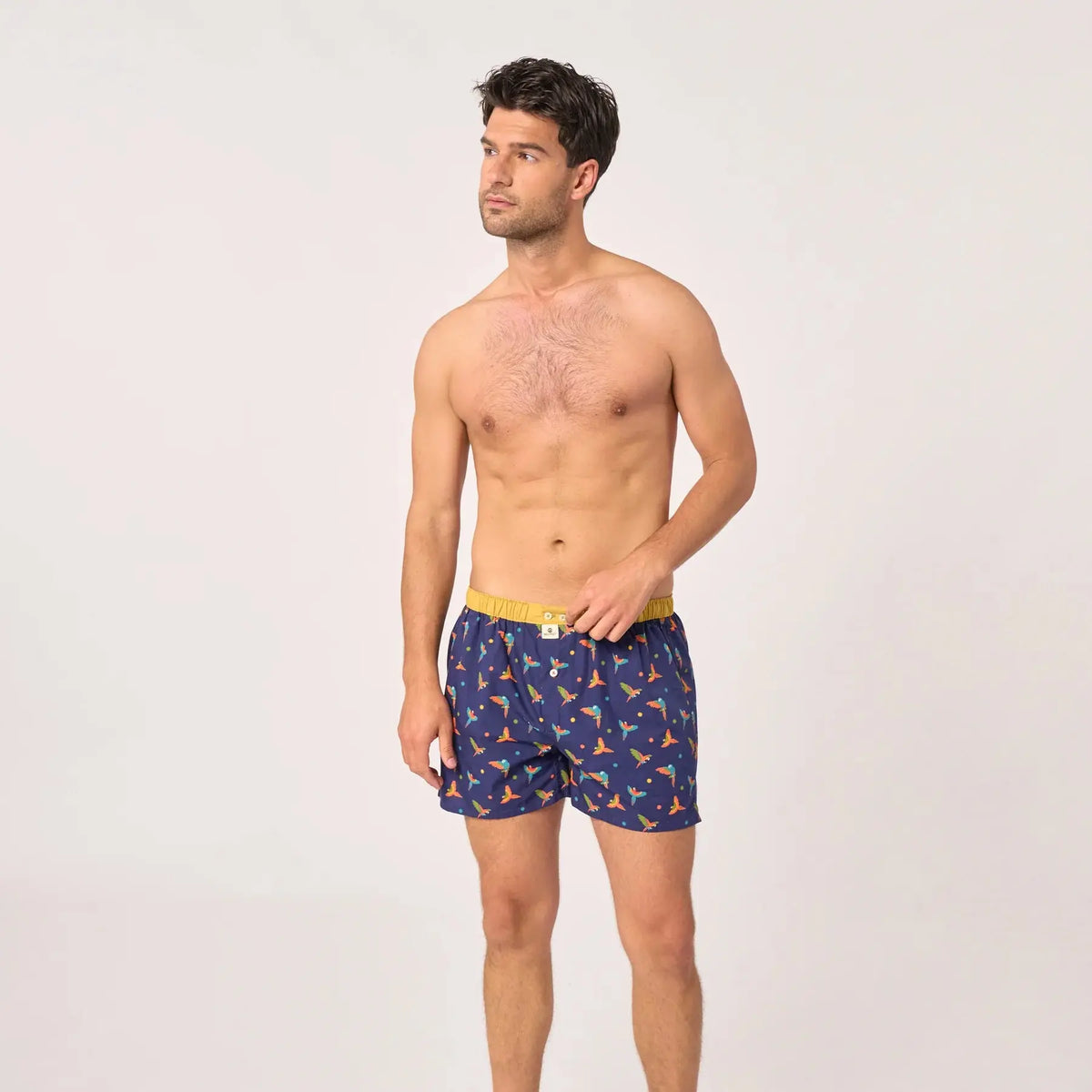 Caleçon Coco Loco porté, perroquets colorés sur Bleu Marine et large ceinture élastique jaune moutarde