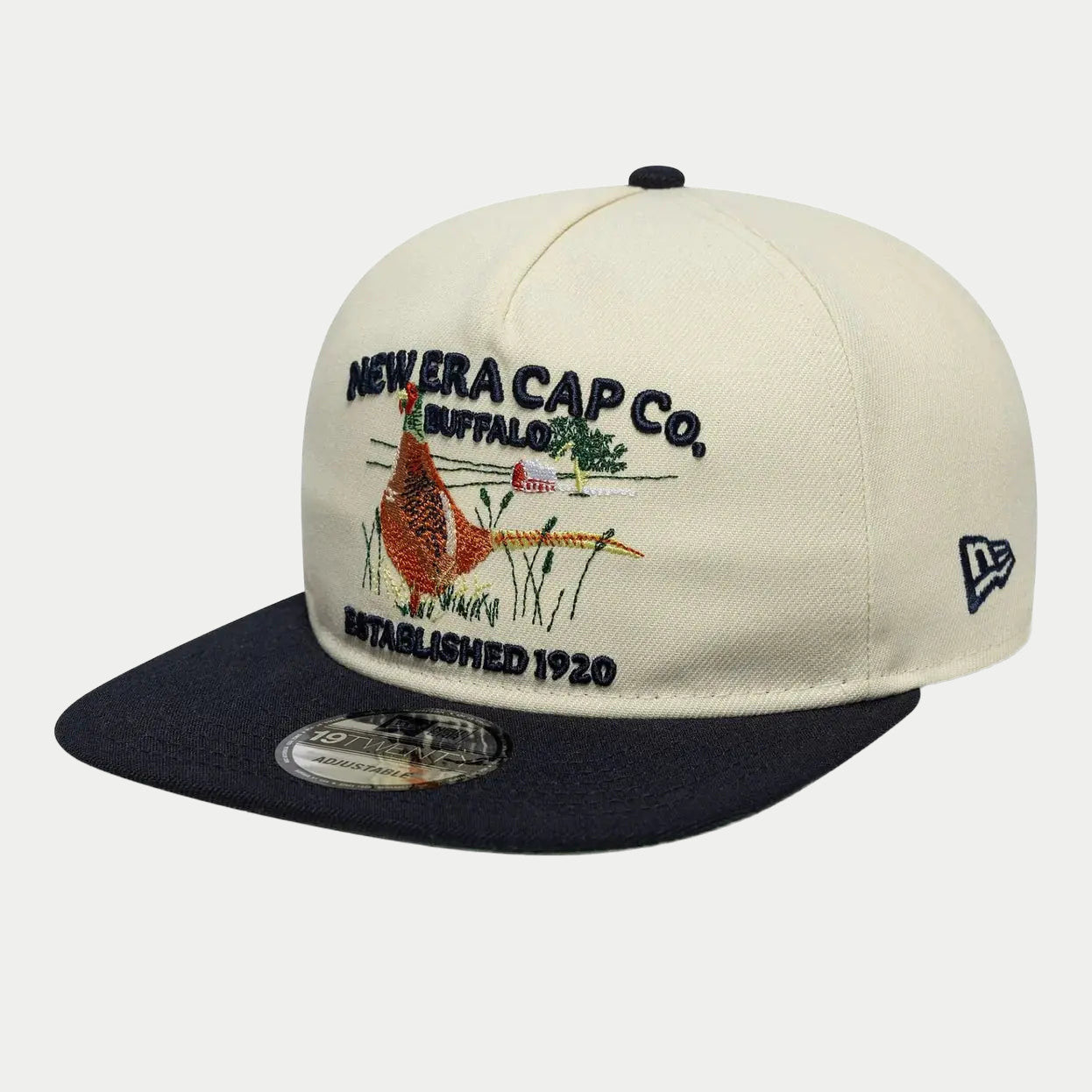 Casquette 19twenty Outdoor Graphic Beige - New Era