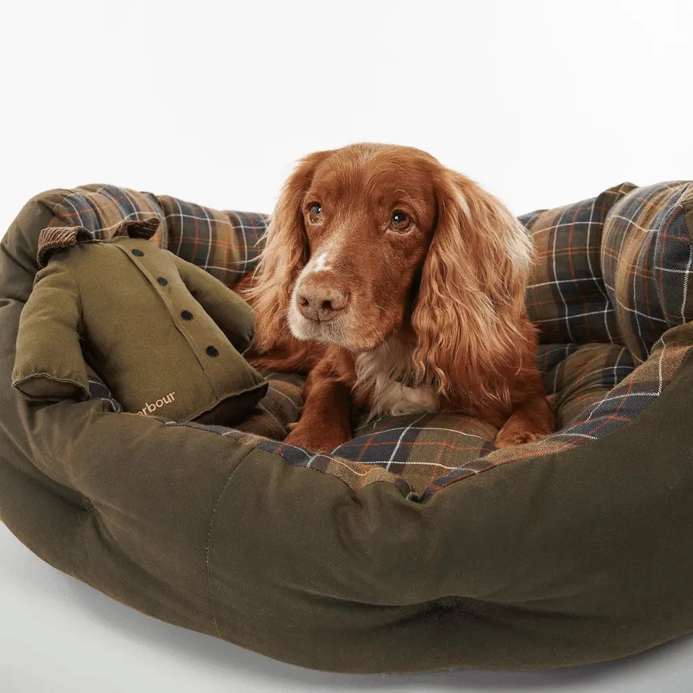 Cocker roux couché dans un panier tartan à côté du jouet veste Barbour olive