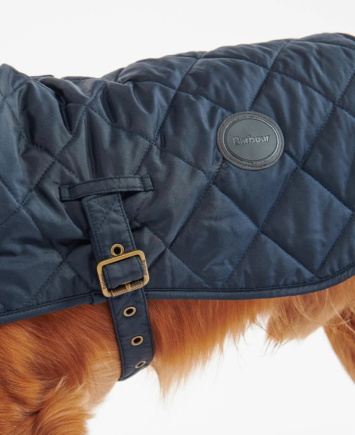 Sangle à boucle laiton gravée Barbour et patch cuir sur le manteau bleu marine porté