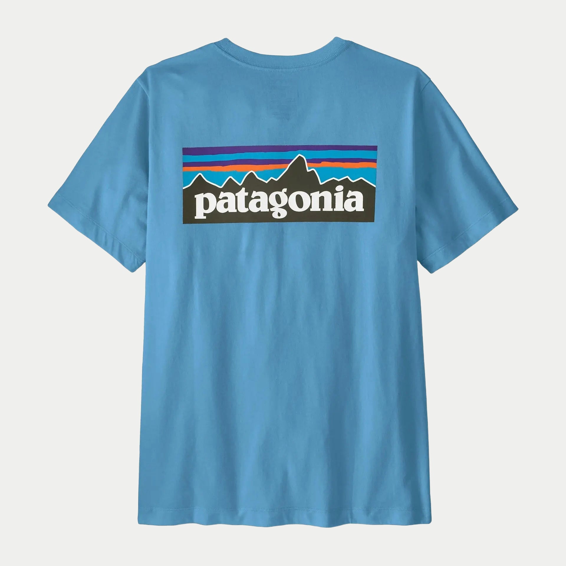 T-shirt P-6 Logo Patagonia bleu ciel Shore Blue, dos avec le logo P-6 sérigraphié