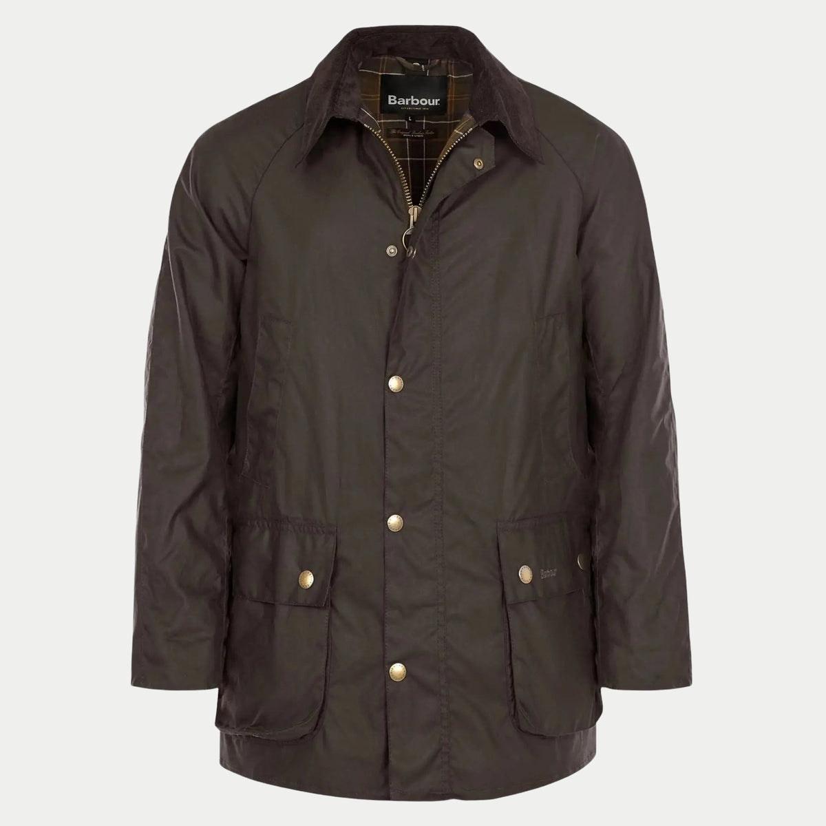 Veste cirée Ashby Barbour olive vue de face, col en velours côtelé brun et pressions laiton